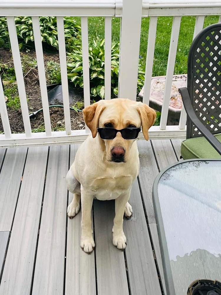 Customer photo from Rachel Greer